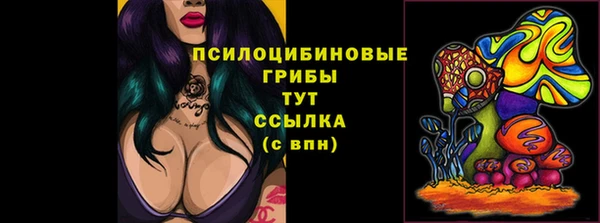 амф Алексеевка